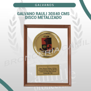 GALVANO RAULI 30X40 CMS DISCO METALIZADO