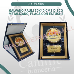 GALVANO RAULI 30X40 CMS DISCO METALIZADO, PLACA CON ESTUCHE