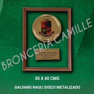 GALVANO RAULI 30X40 CMS DISCO METALIZADO