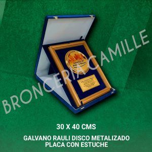 GALVANO RAULI 30X40 CMS DISCO METALIZADO, PLACA CON ESTUCHE