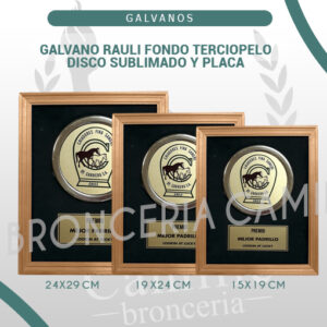 GALVANO RAULI FONDO TERCIOPELO DISCO SUBLIMADO Y PLACA