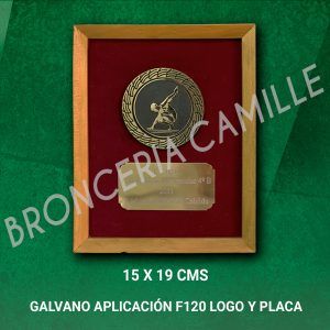GALVANO 15 x 19 TEPA - APLICACIÓN F120 LOGO Y PLACA