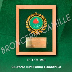 GALVANO 15 x 19 TEPA FONDO TERCIOPELO