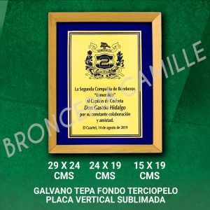 GALVANO TEPA FONDO TERCIOPELO , PLACA VERTICAL SUBLIMADA PERSONALIZADA