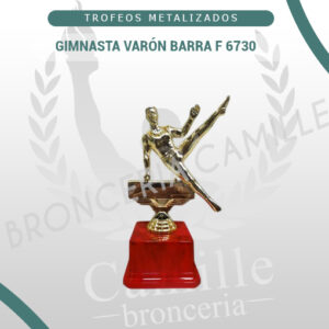 GIMNASTA VARÓN BARRA F 6730