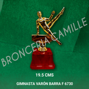 GIMNASTA VARÓN BARRA F 6730