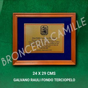 Galvano Rauli Fondo Terciopelo