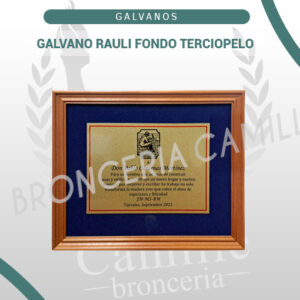 Galvano Rauli fondo terciopelo
