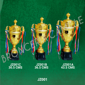 Copa Metalizada Modelo JZ001