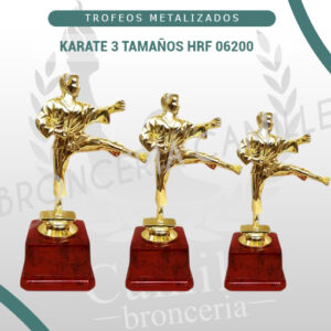 KARATE 3 TAMAÑOS HRF 06200
