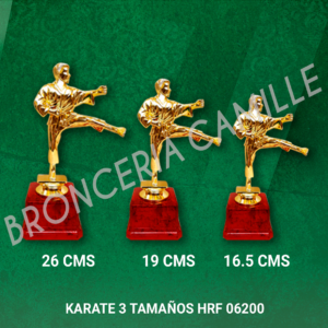 KARATE 3 TAMAÑOS HRF 06200