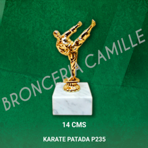 KARATE PATADA P235