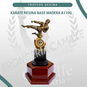 KARATE RESINA BASE MADERA A110Q