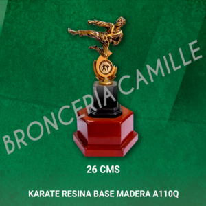 KARATE RESINA BASE MADERA A110Q