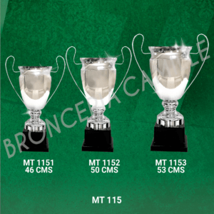 COPA IMPORTADA MT 115 Desde 46cms Hasta 53cms