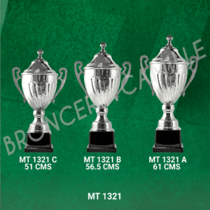 COPA IMPORTADA MT 1321 Desde 51cms Hasta 61cms