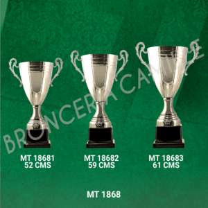 COPA IMPORTADA MT 1868 Desde 52cms Hasta 61cms