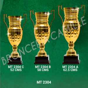 COPA IMPORTADA MT 2304 Desde 52cms Hasta 62.5cms