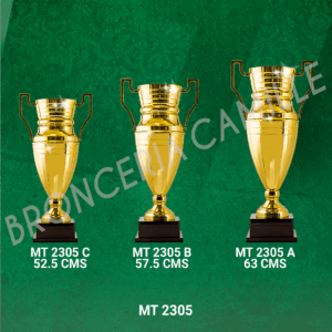 COPA IMPORTADA MT 2305 Desde 52.5cms Hasta 63cms