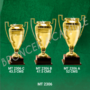 COPA IMPORTADA MT 2306 Desde 43.5cms Hasta 52cms