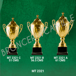 COPA IMPORTADA MT 2321 Desde 51cms Hasta 61cms