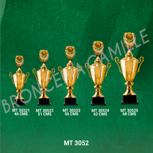 COPA IMPORTADA MT 3052 Desde 46cms Hasta 68cms