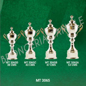 COPA IMPORTADA MT 3065 Desde 38cms Hasta 52cms