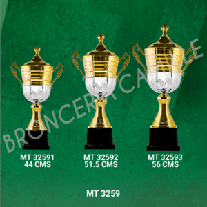 COPA IMPORTADA MT 3259 Desde 44cms Hasta 56cms