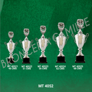 COPA IMPORTADA MT 4052 Desde 46cms Hasta 68cms