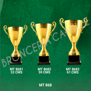 COPA IMPORTADA MT 868 Desde 52cms Hasta 61cms