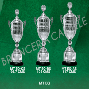 Copa importada Plateada EQ Desde 96cms Hasta 117cms