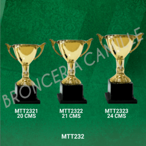 COPA IMPORTADA MTT232 Desde 20cms Hasta 24cms