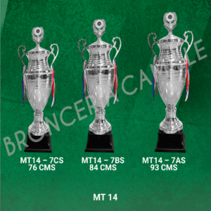 COPA IMPORTADA MT 14 Desde 76cms Hasta 93cms