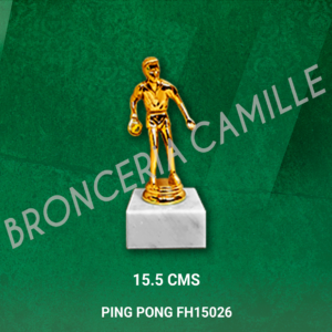 PING PONG FH15026
