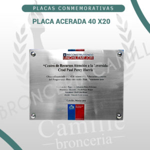 PLACA ACERADA 40 x20