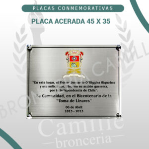 PLACA ACERADA 45 X 35