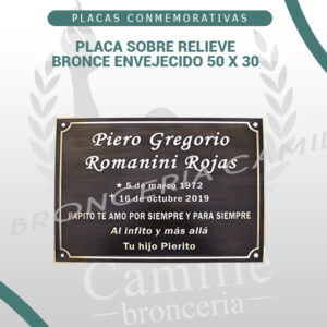 PLACA SOBRE RELIEVE , BRONCE ENVEJECIDO 50 X 30