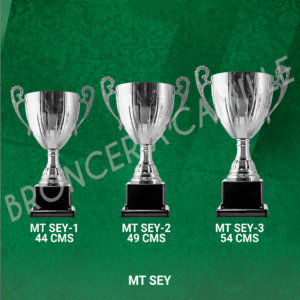 COPA IMPORTADA MT SEY Desde 44cms Hasta 54cms