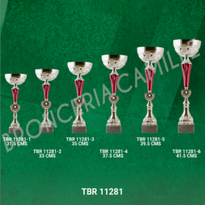 COPA IMPORTADA TBR 11281 Desde 31.5cms Hasta 40.5cms