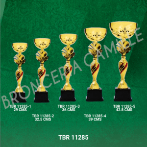 COPA IMPORTADA TBR 11285 Desde 29cms Hasta 42.5cms