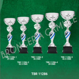 COPA IMPORTADA TBR 11286 Desde 29cms Hasta 42.5cms