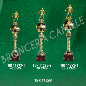 COPA IMPORTADA TBR 11293 Desde 43cms Hasta 55.5cms