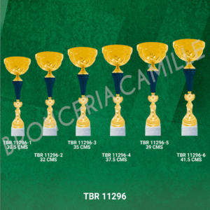 COPA IMPORTADA TBR 11296 Desde 30.5cms Hasta 41.5cms