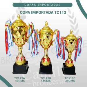 Copa Importada TC113 <br>Desde 39cms Hasta 49cms