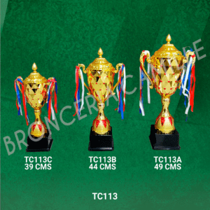 Copa Importada TC113 Desde 39cms Hasta 49cms