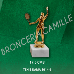 TENIS DAMA 8014-6