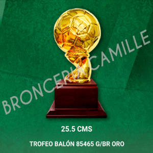TROFEO EN RESINA BALÓN 85465 G/BR ORO