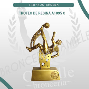 TROFEO DE RESINA A1095 C