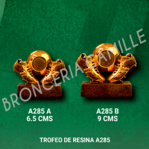 TROFEO DE RESINA A285