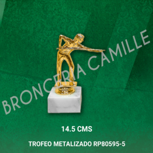 TROFEO METALIZADO RP80595-5